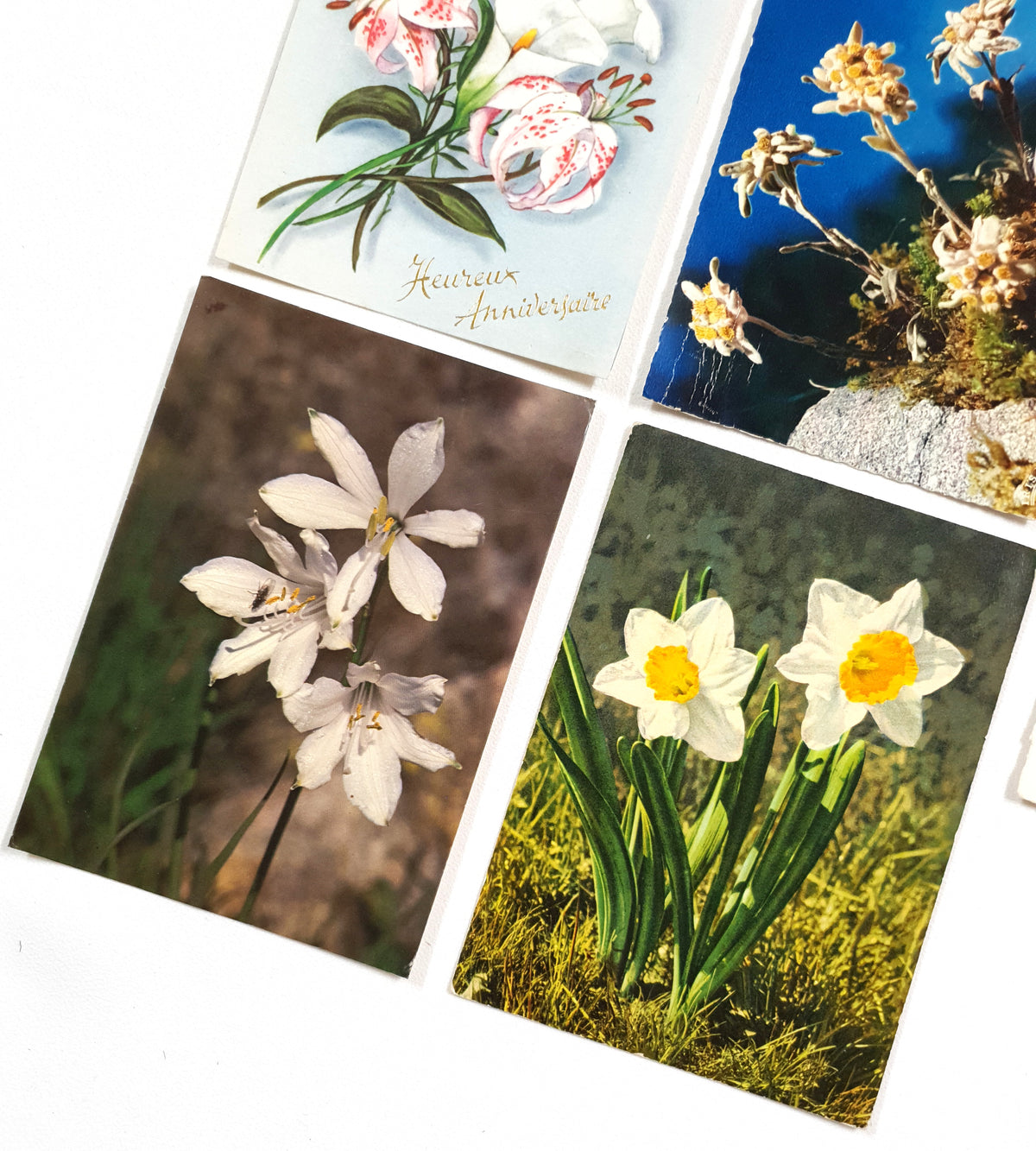 Authentic Vintage/Antique French Postcard - Set of 5 - LB