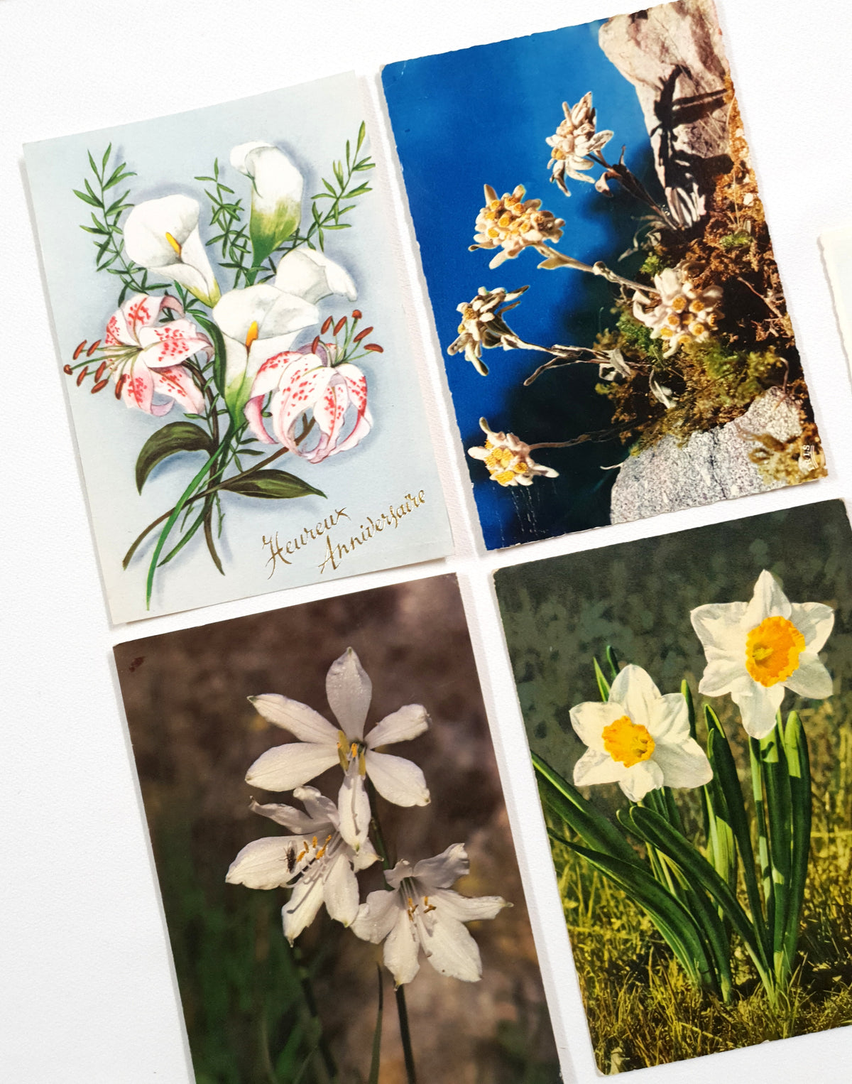 Authentic Vintage/Antique French Postcard - Set of 5 - LB