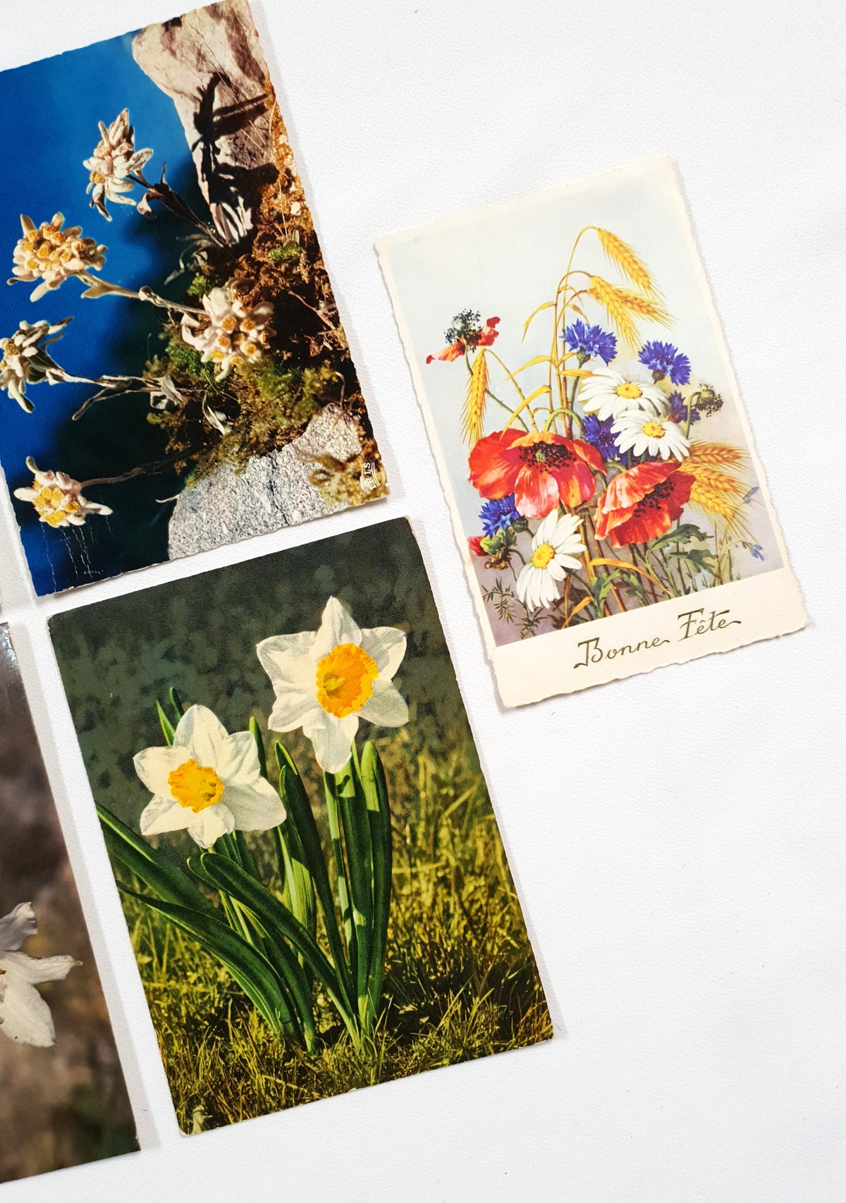 Authentic Vintage/Antique French Postcard - Set of 5 - LB