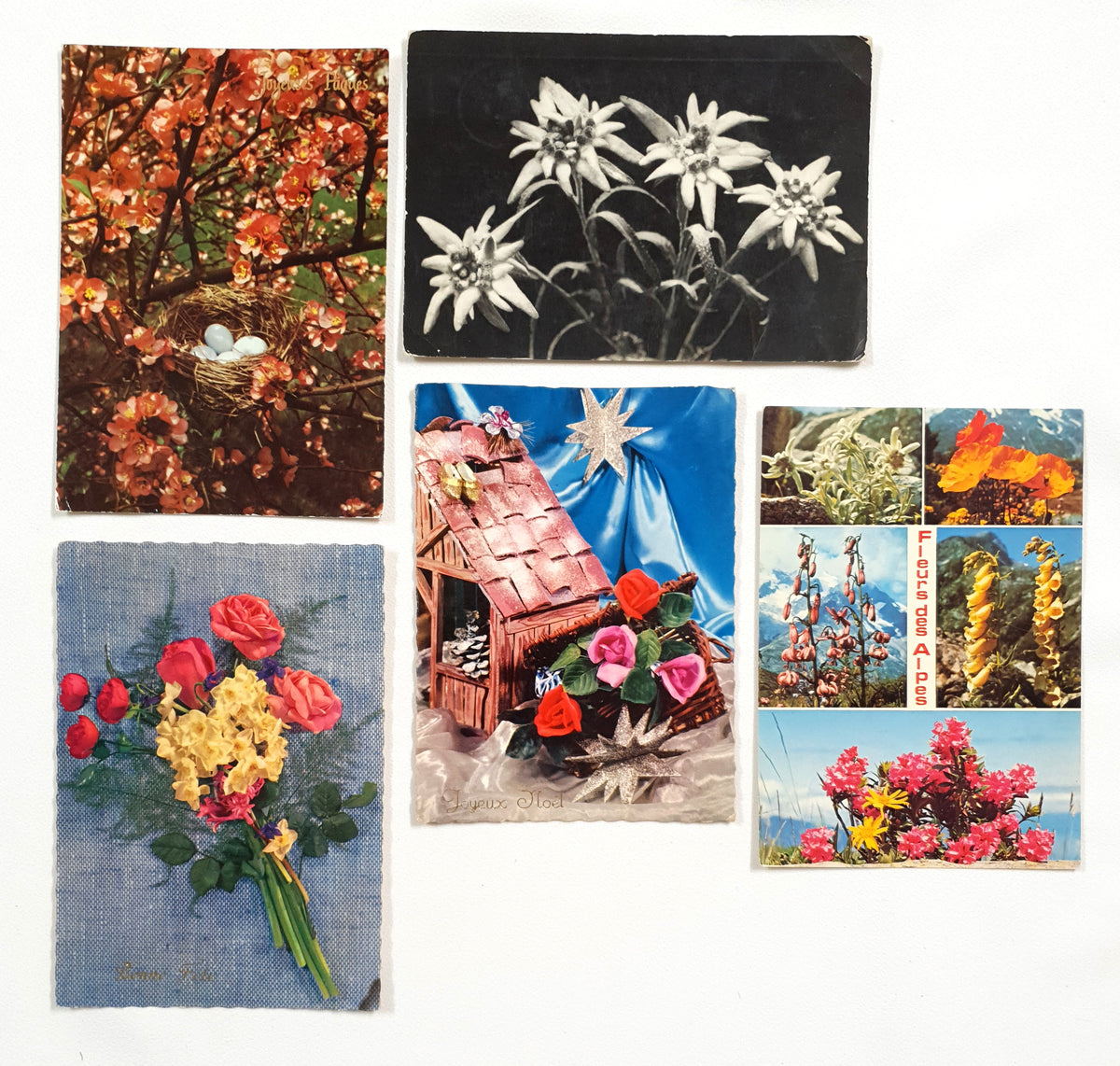 Authentic Vintage/Antique French Postcard - Set of 5 - LC