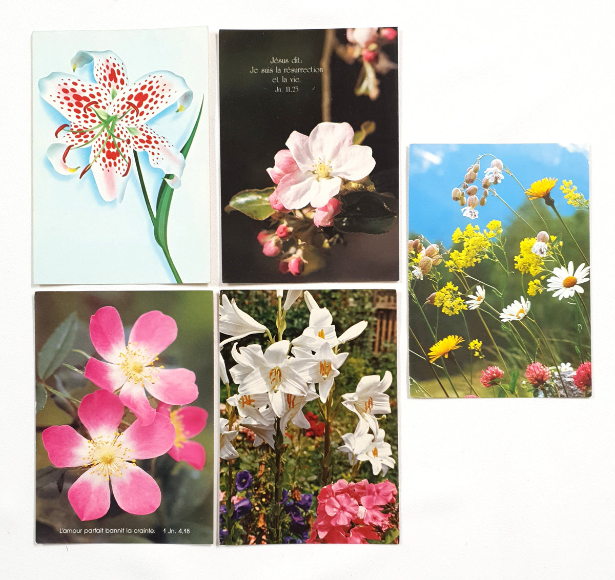 Authentic Vintage/Antique French Postcard - Set of 5 - LD