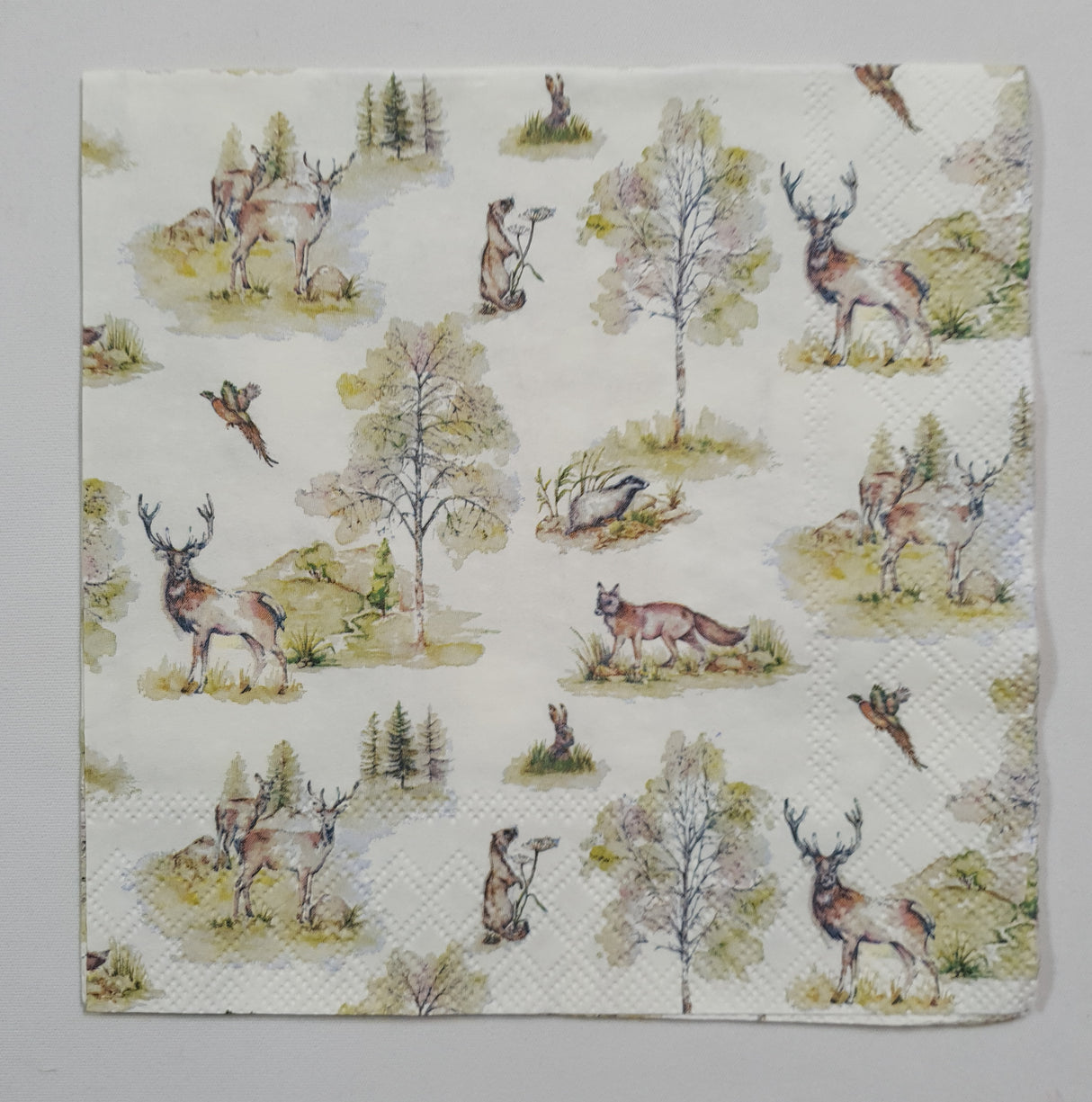 Motherloads Inspiration Pack - FY