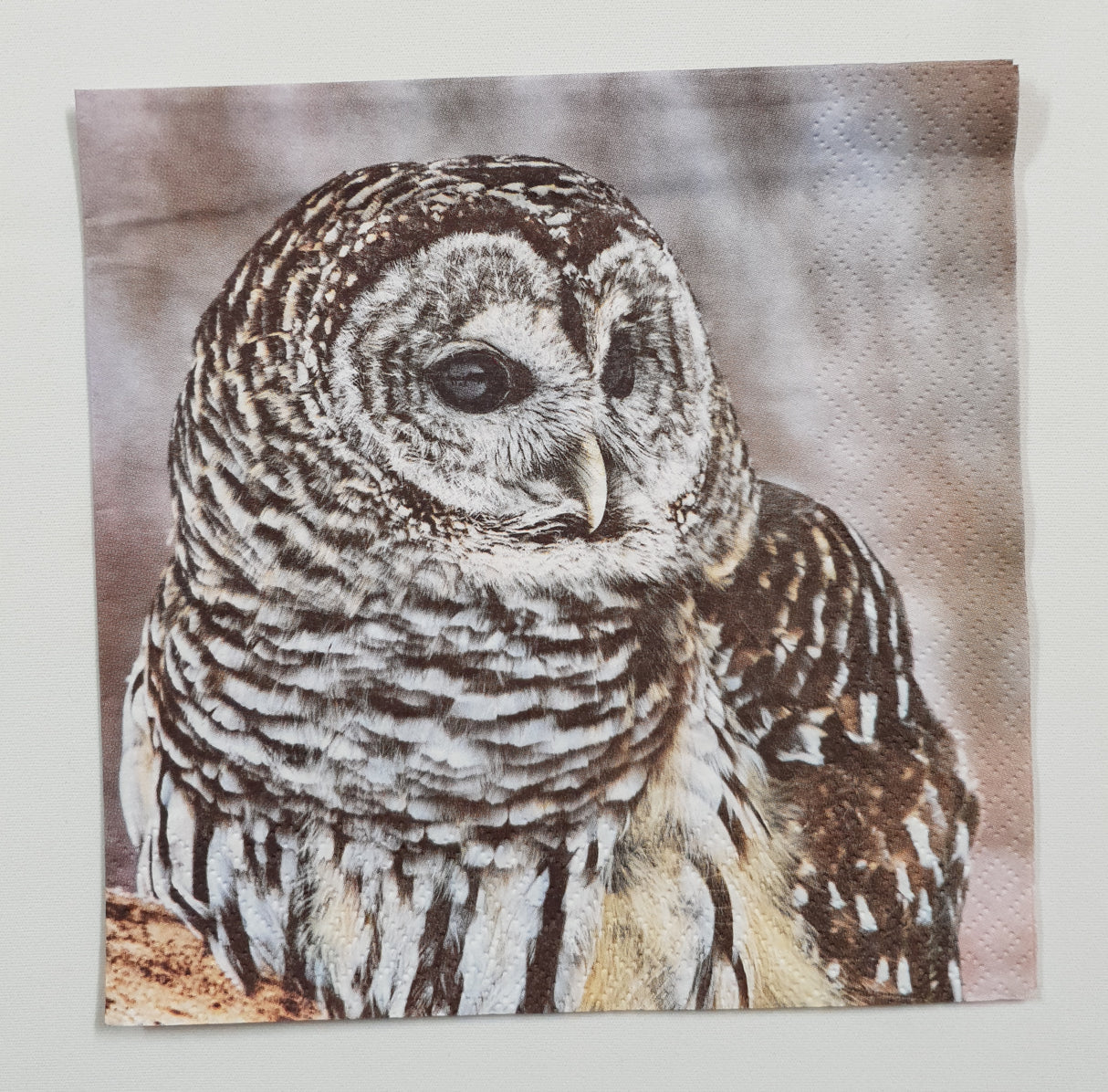 Motherloads Inspiration Pack - GV