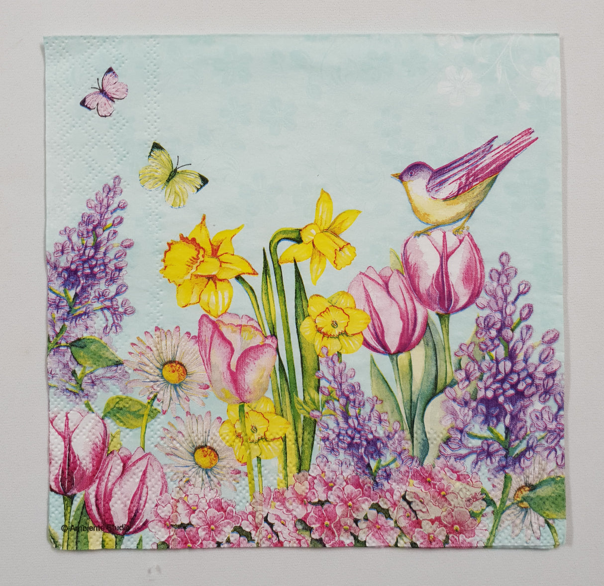 Motherloads Inspiration Pack - IA