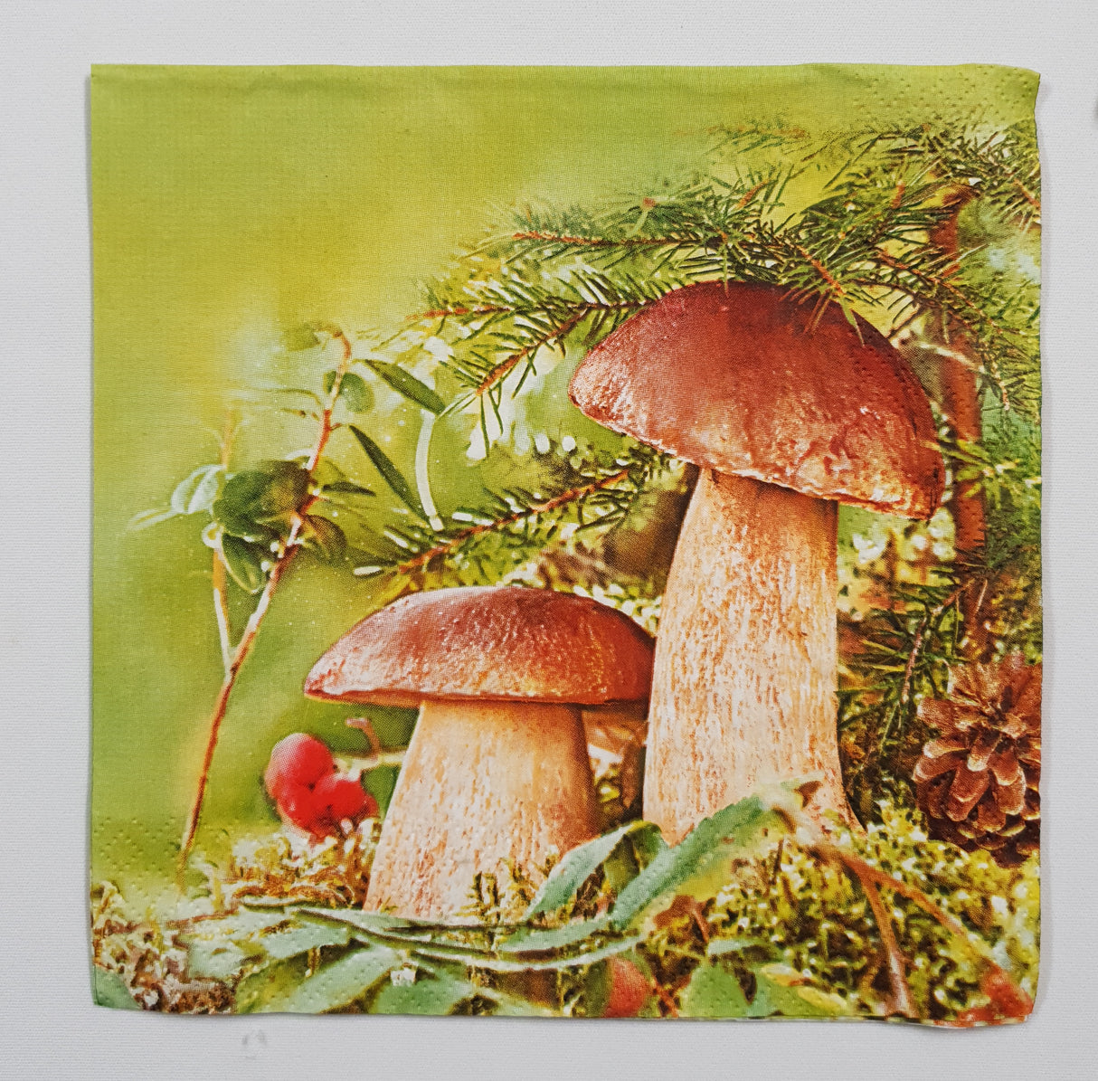 Motherloads Inspiration Pack - II