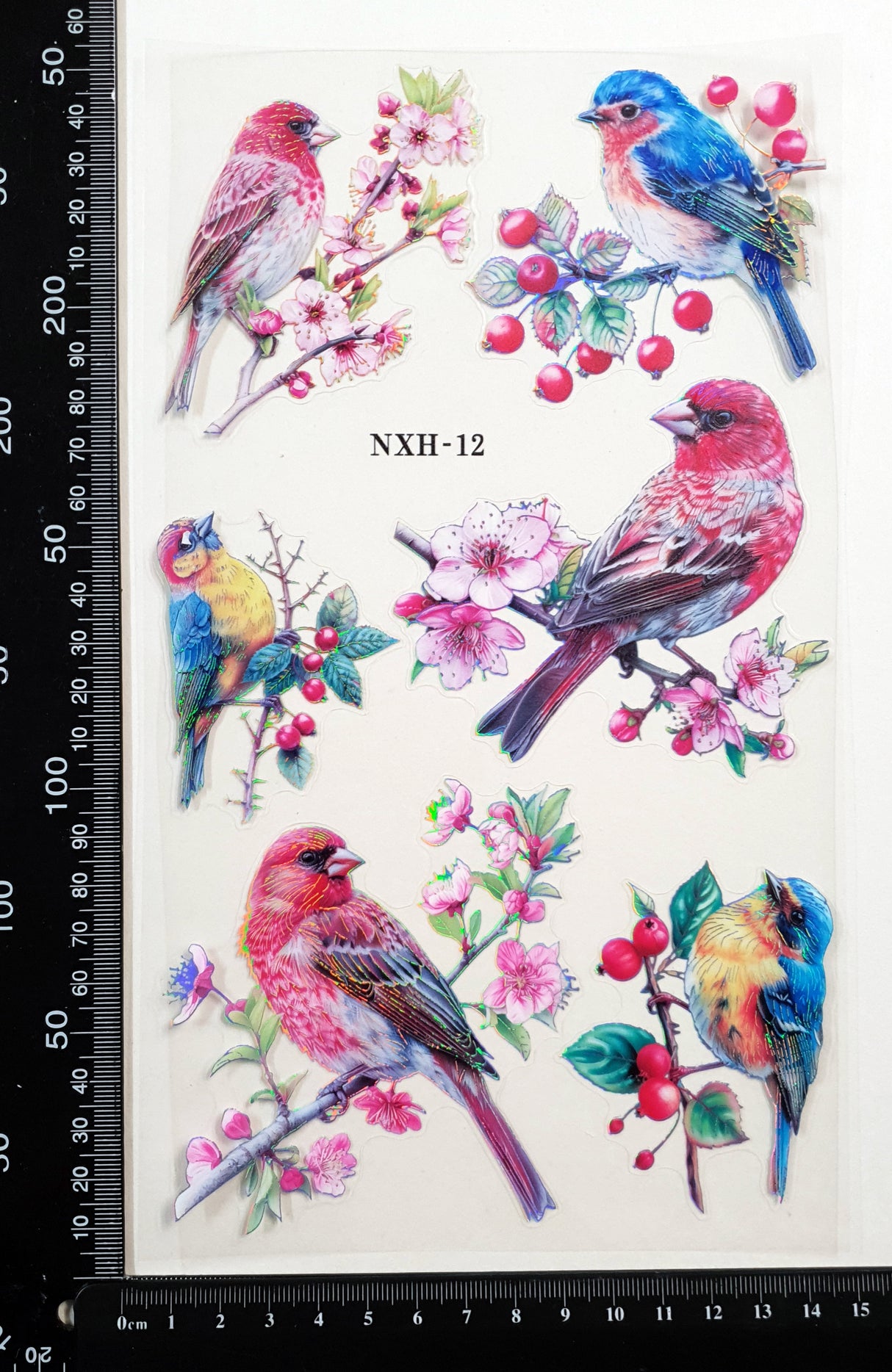 Bird Stickers