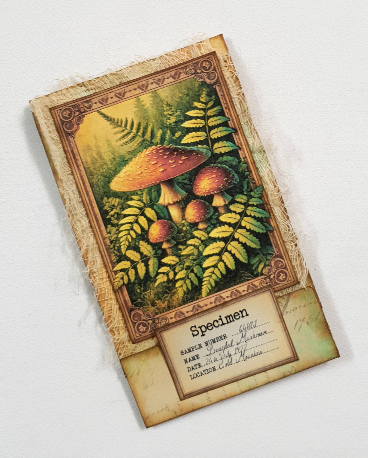 Mushroom Matchbook Notebook - OX