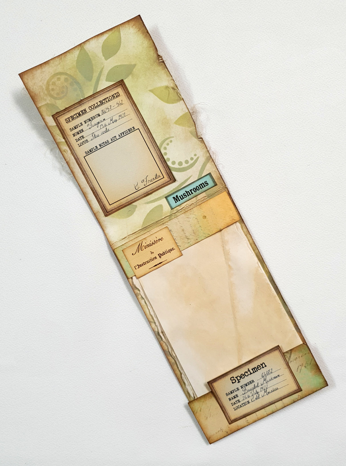 Mushroom Matchbook Notebook - OX