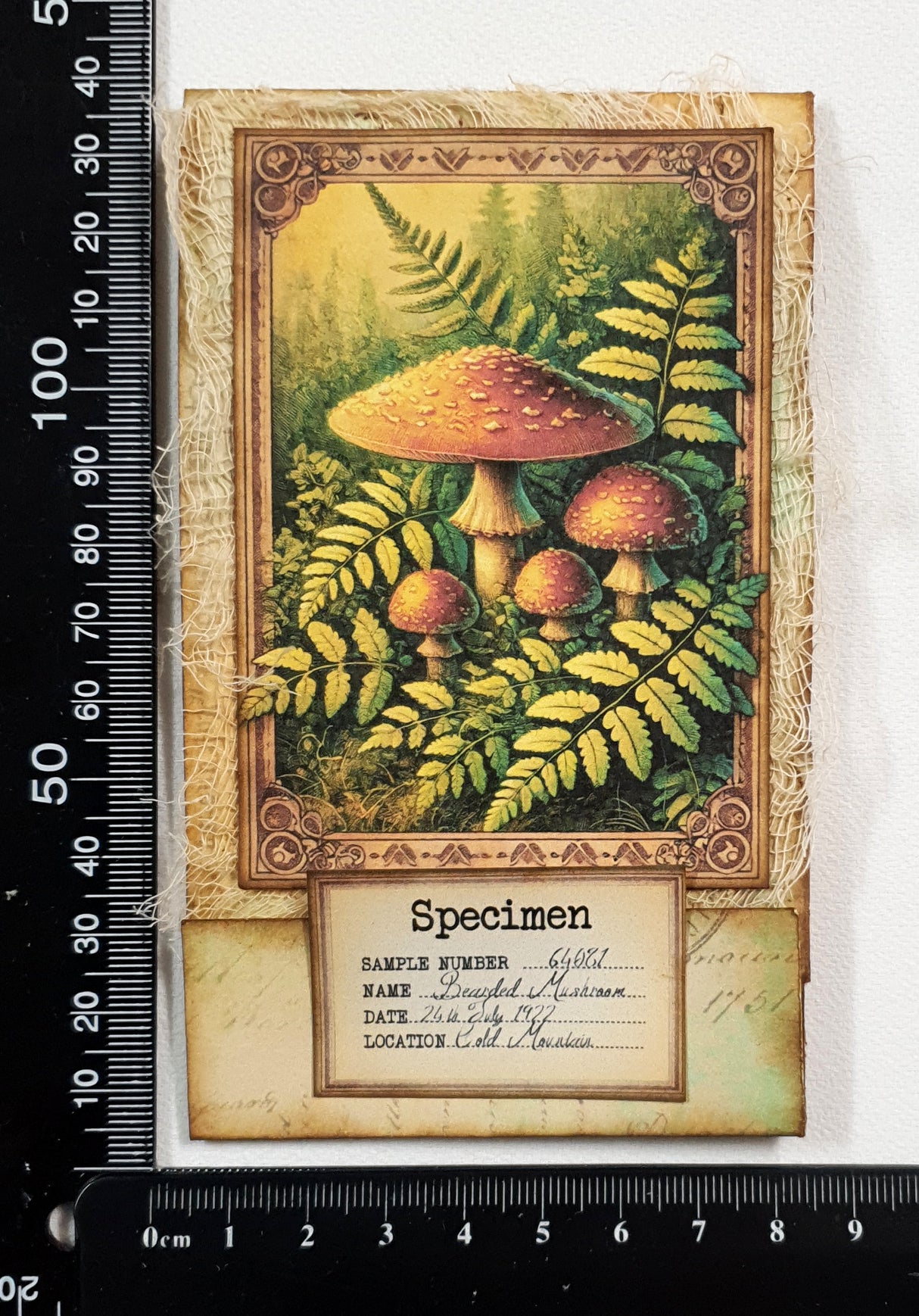 Mushroom Matchbook Notebook - OX