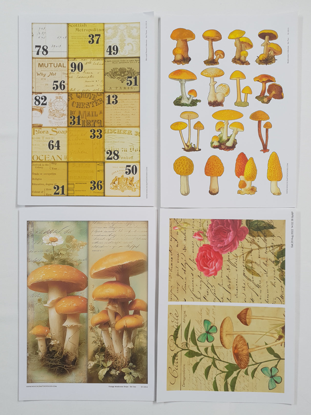 Whichcraft Prints Pack - SX