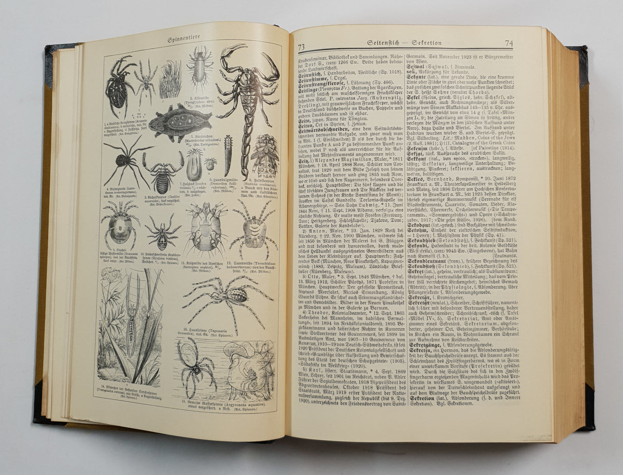 Authentic Vintage German Book - QB