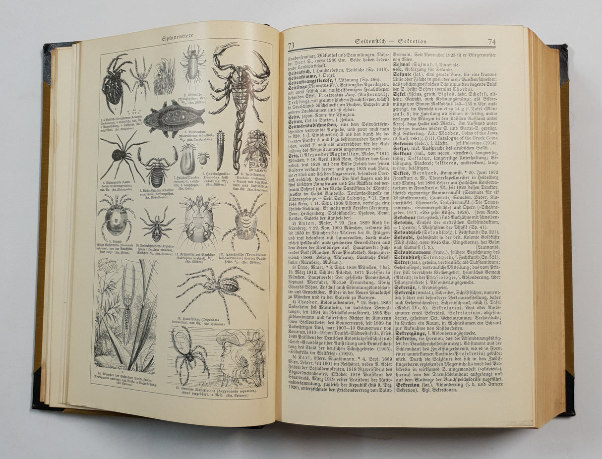 Authentic Vintage German Book - QB