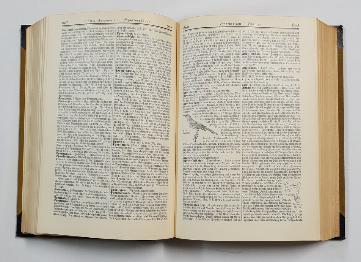 Authentic Vintage German Book - QB