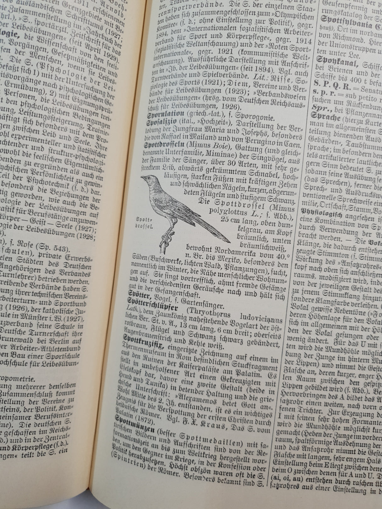 Authentic Vintage German Book - QB