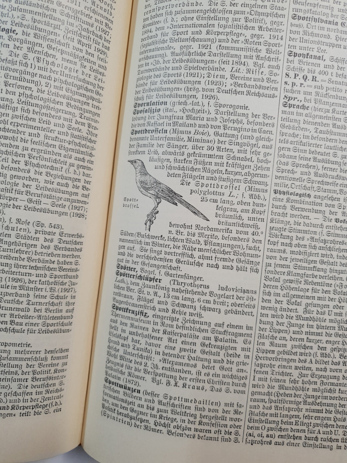 Authentic Vintage German Book - QB