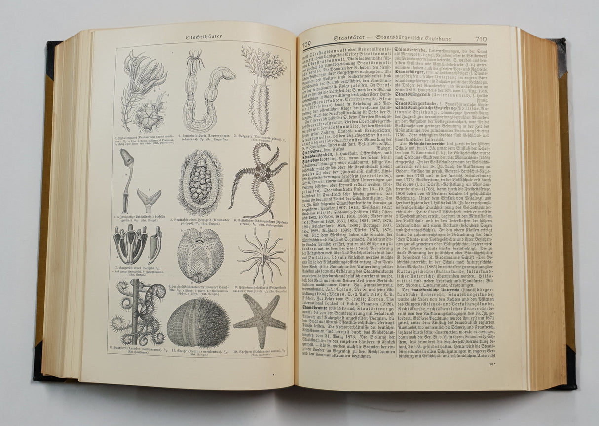 Authentic Vintage German Book - QB