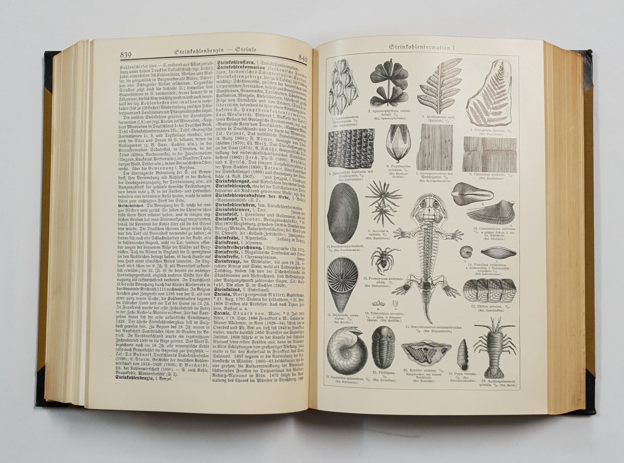 Authentic Vintage German Book - QB