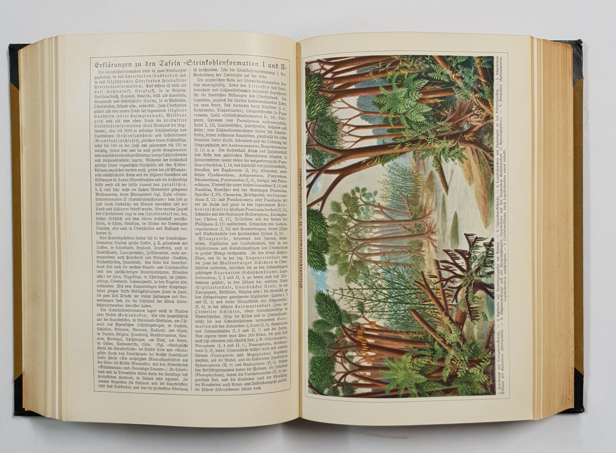 Authentic Vintage German Book - QB