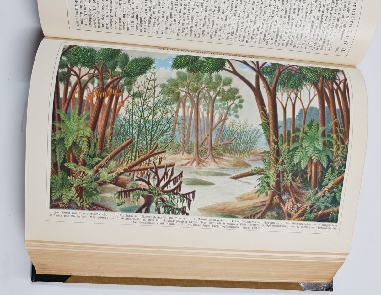 Authentic Vintage German Book - QB