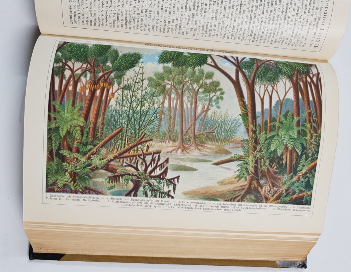 Authentic Vintage German Book - QB