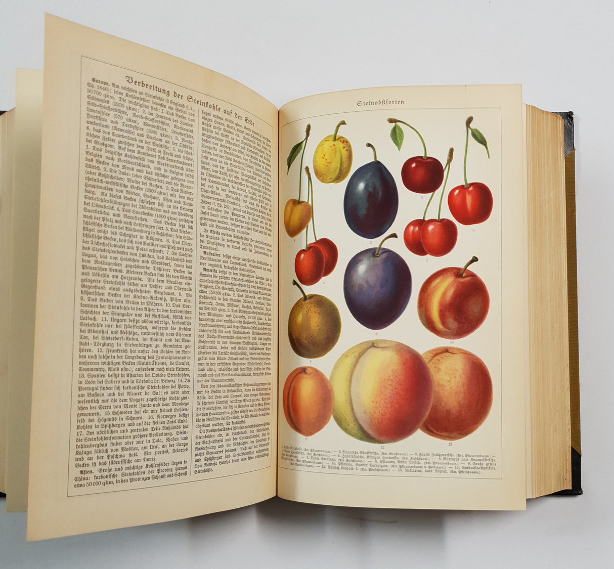 Authentic Vintage German Book - QB