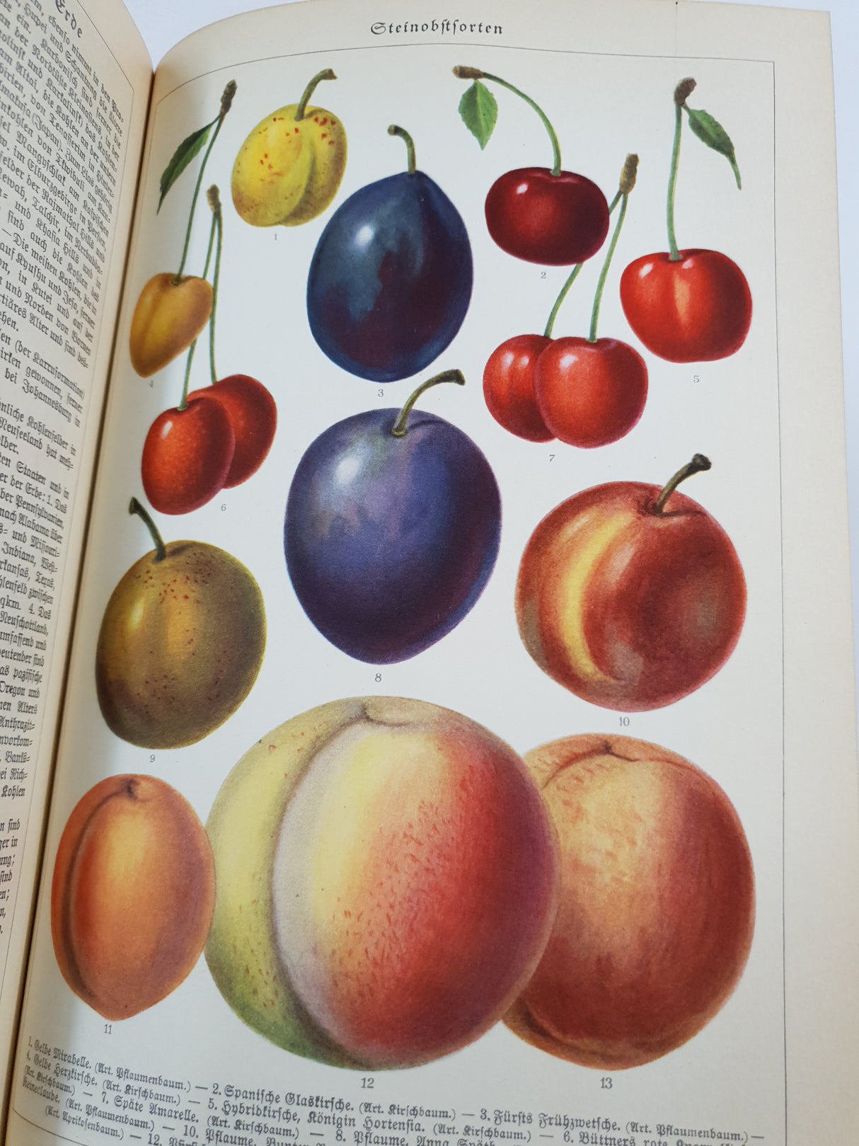 Authentic Vintage German Book - QB