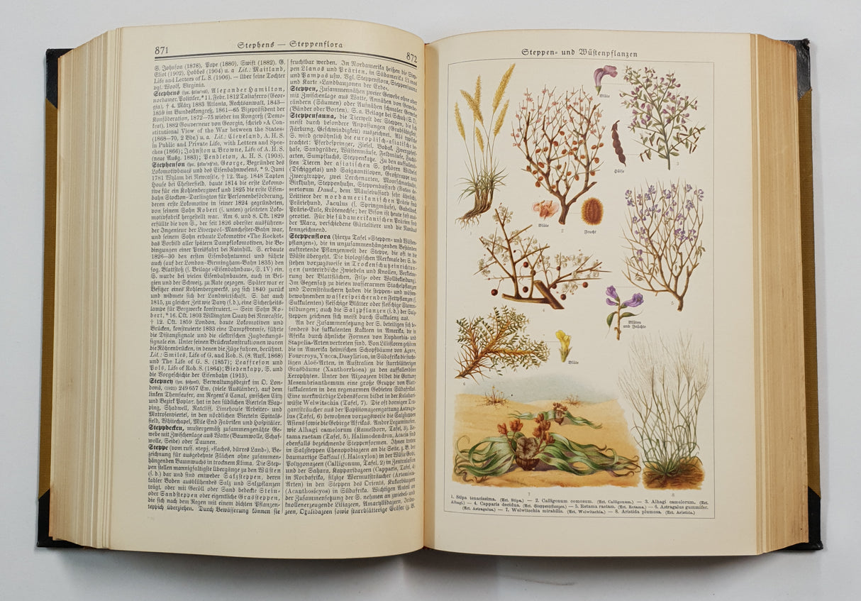 Authentic Vintage German Book - QB