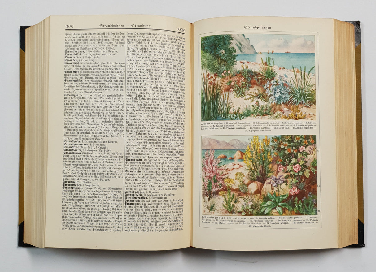 Authentic Vintage German Book - QB