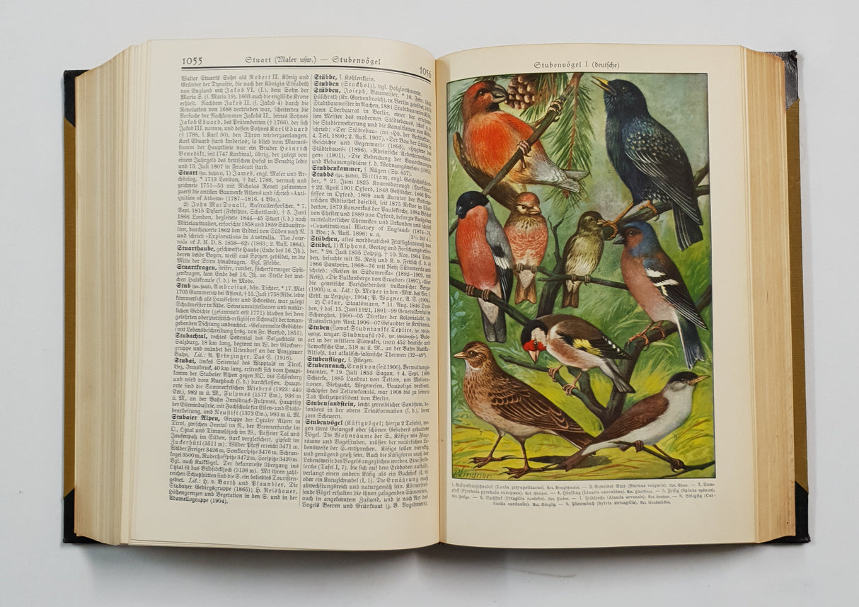 Authentic Vintage German Book - QB