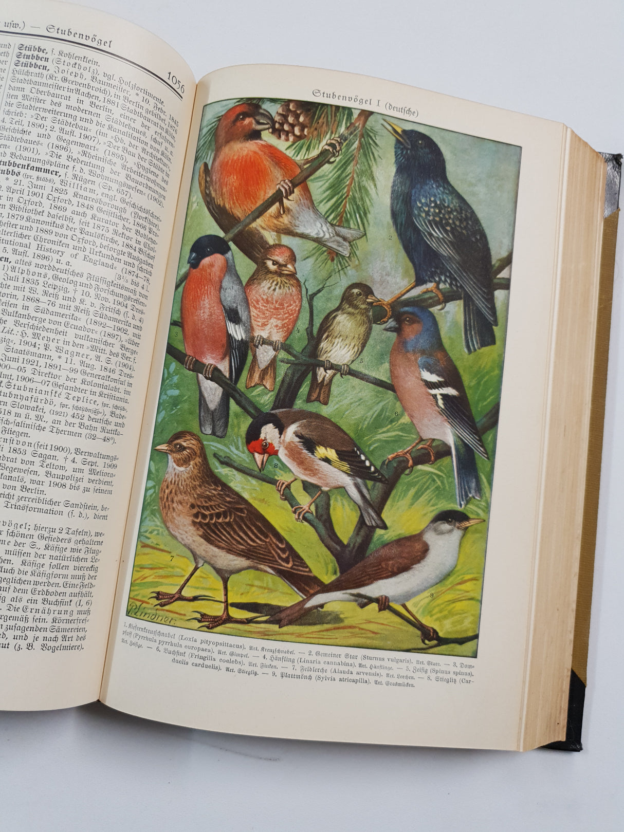 Authentic Vintage German Book - QB