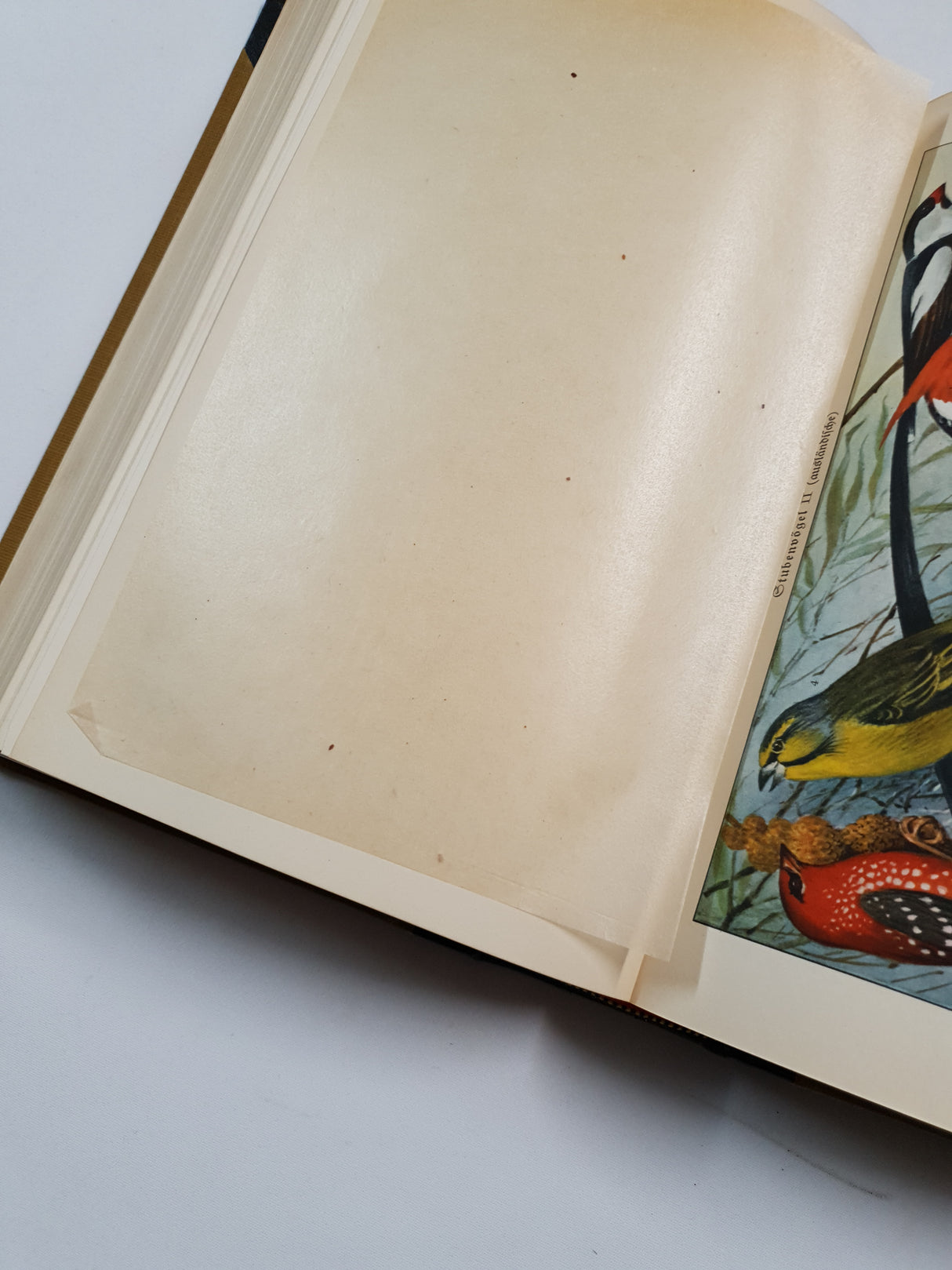 Authentic Vintage German Book - QB