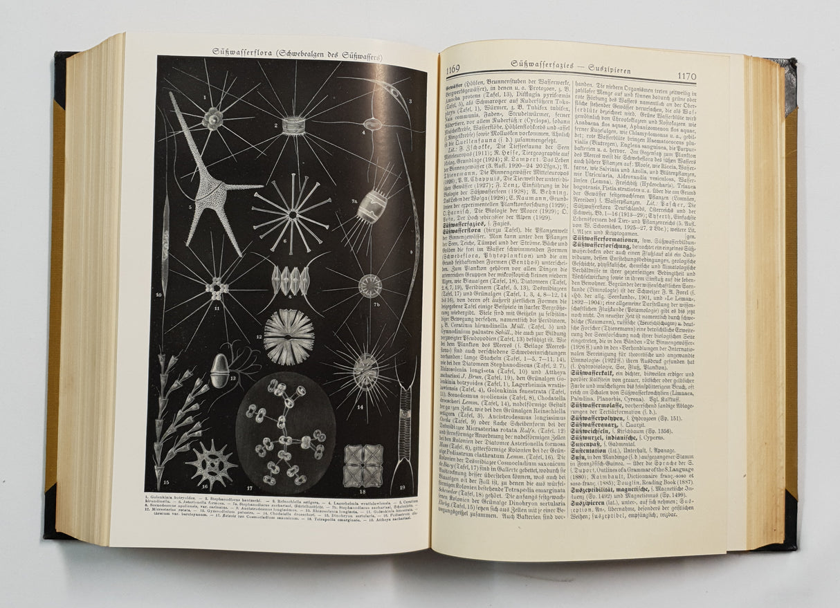 Authentic Vintage German Book - QB