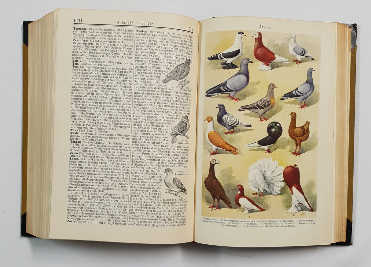 Authentic Vintage German Book - QB