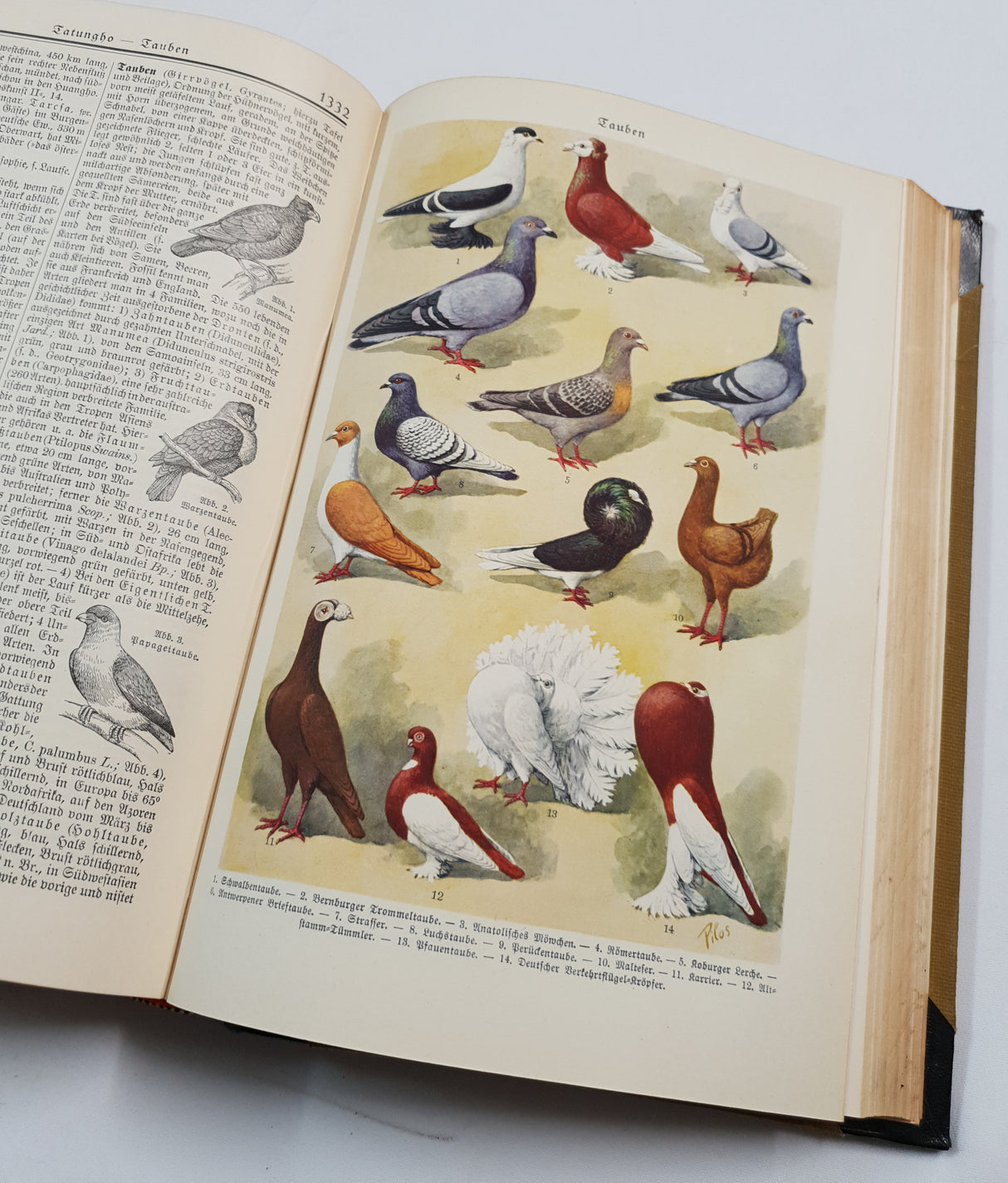 Authentic Vintage German Book - QB