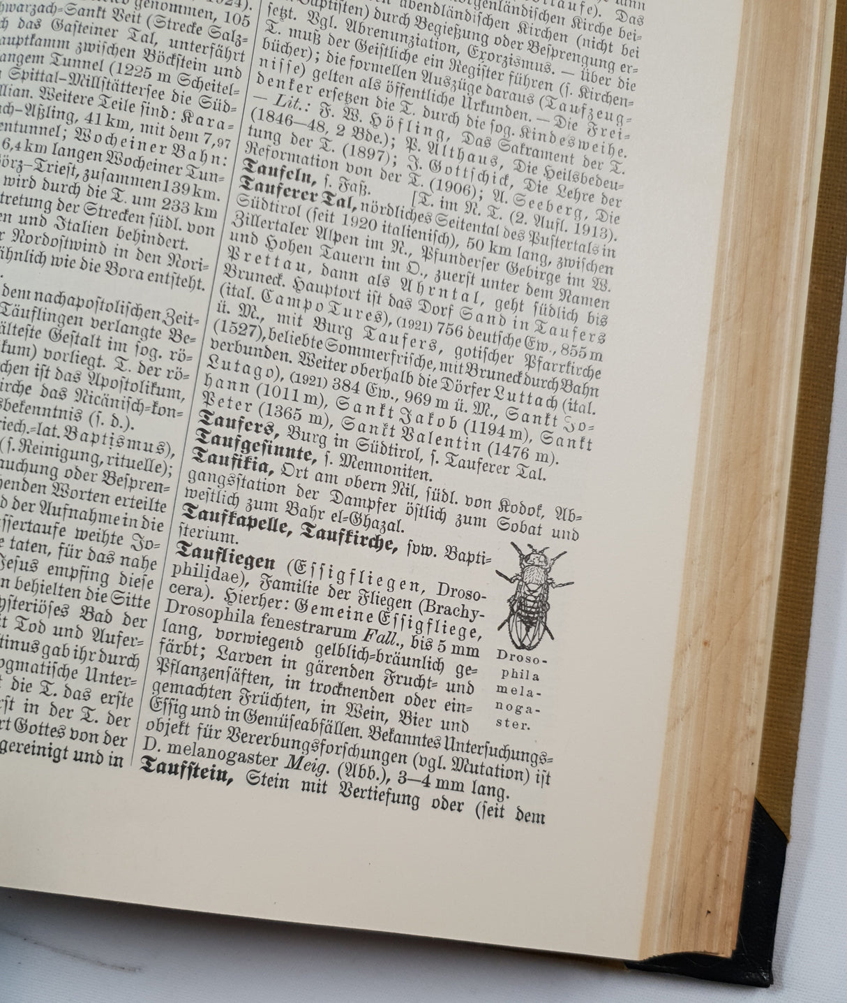 Authentic Vintage German Book - QB