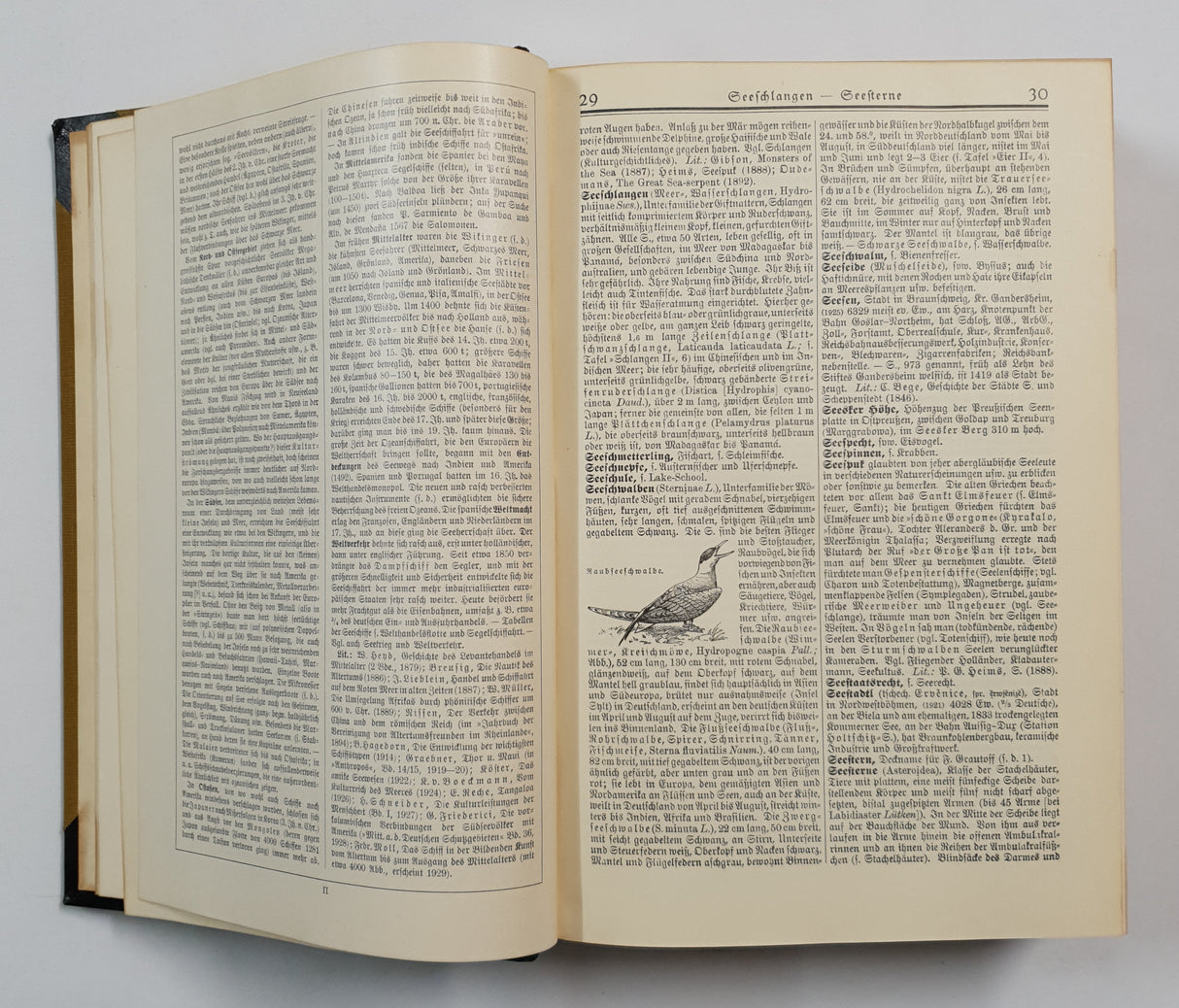 Authentic Vintage German Book - QB