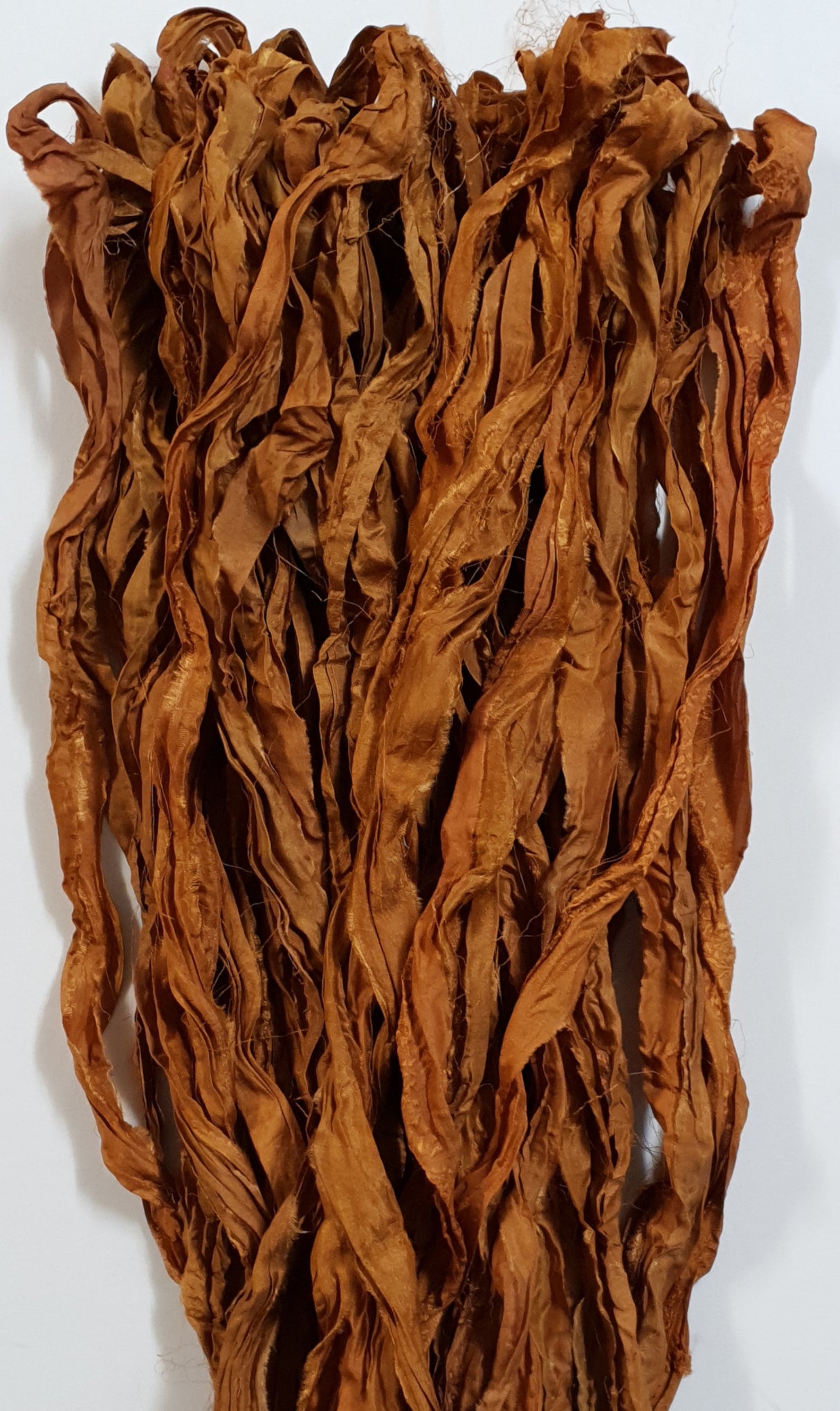 Reclaimed Sari Silk Ribbon - Fallen Leaves - Hank