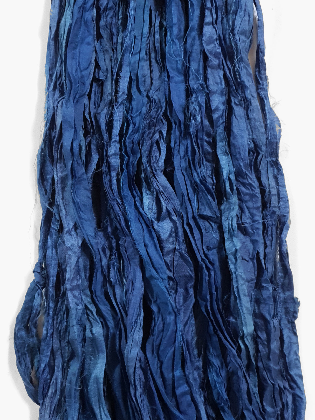 Reclaimed Sari Silk Ribbon - Nautilus - Hank