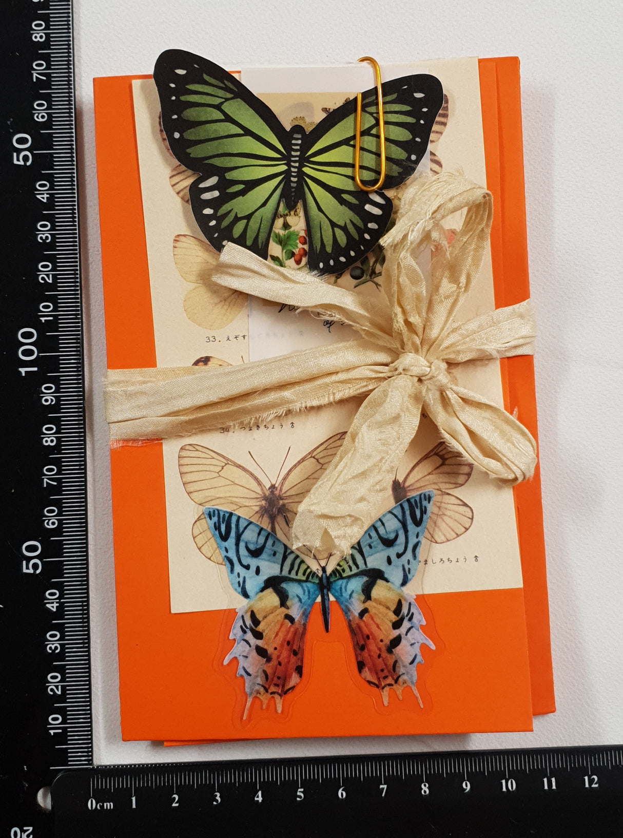 Motherloads Butterfly Ephemera Pack - TW