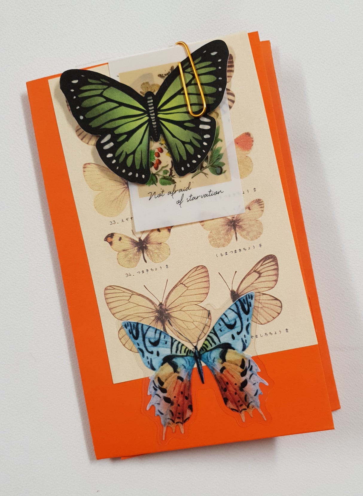 Motherloads Butterfly Ephemera Pack - TW