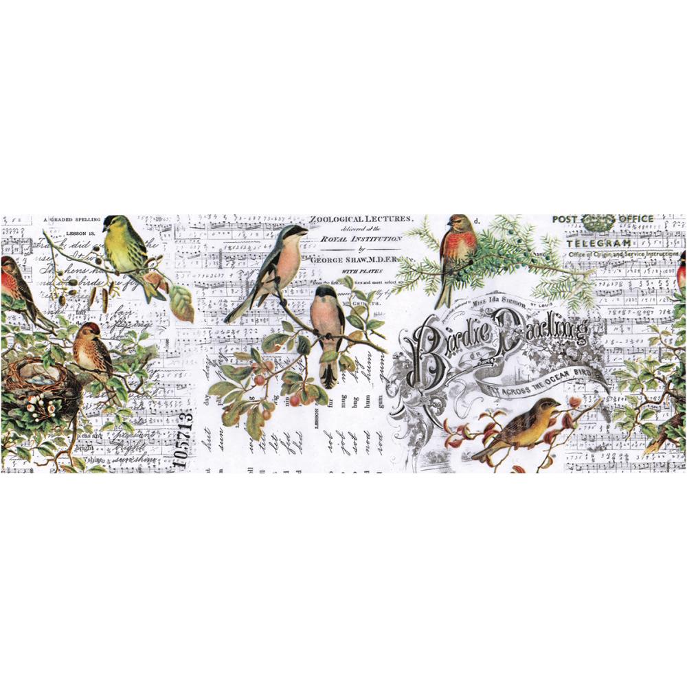 Tim Holtz - idea-ology - Collage Paper - Aviary