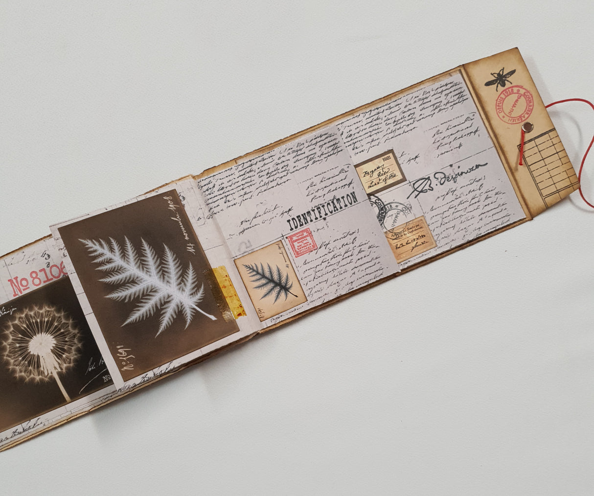 Handmade Entomology Booklet - UB