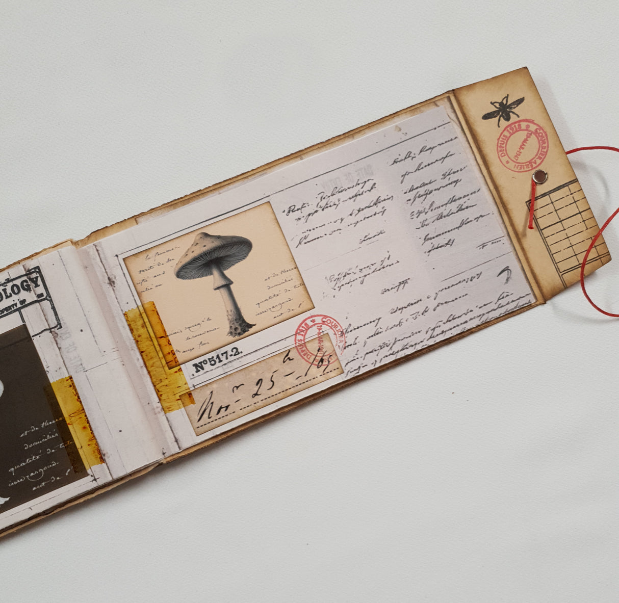 Handmade Entomology Booklet - UB