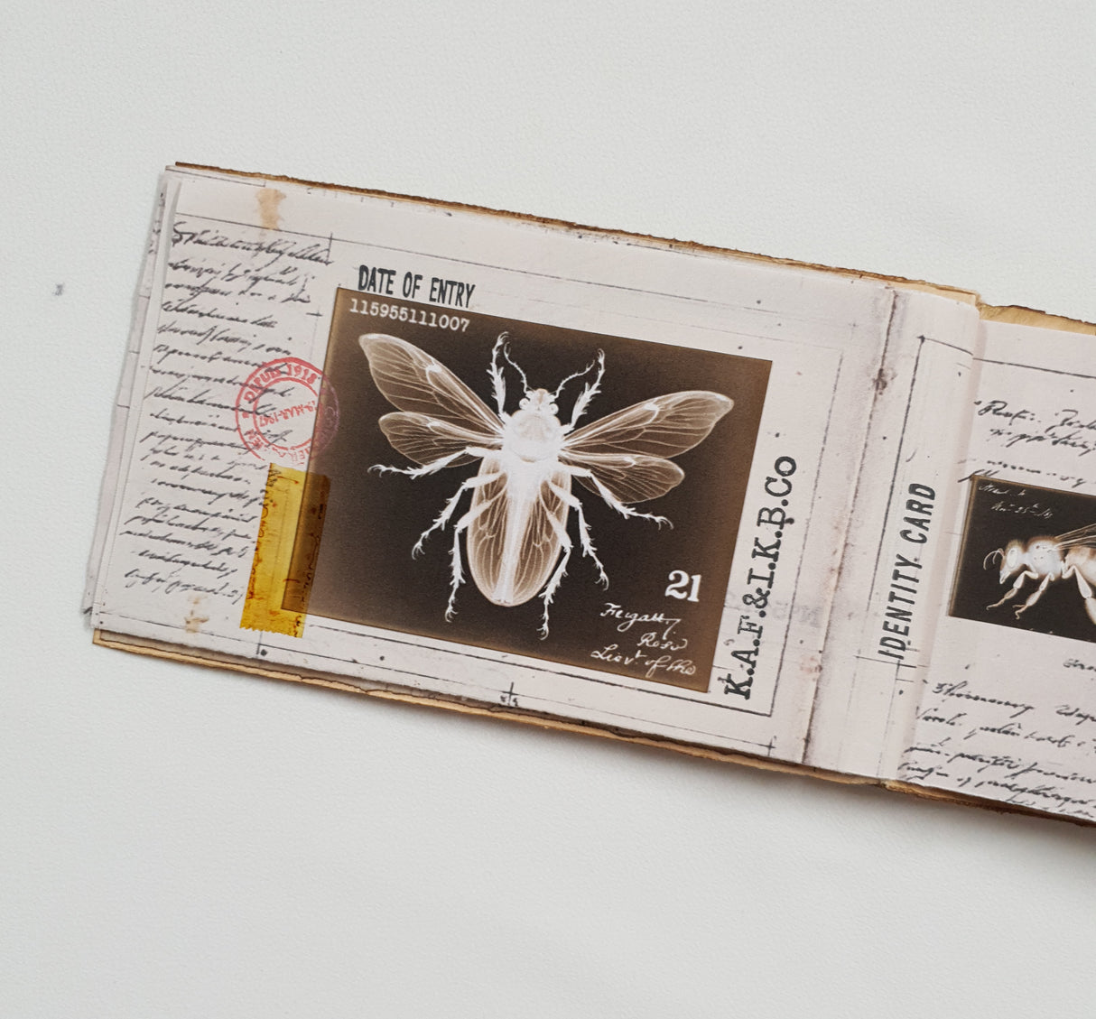 Handmade Entomology Booklet - UB