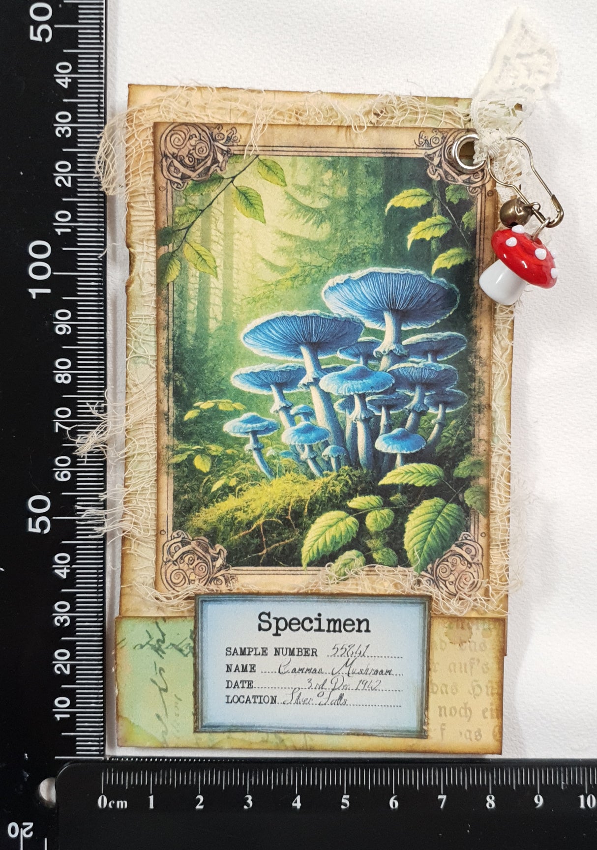Mushroom Matchbook Notebook - UG