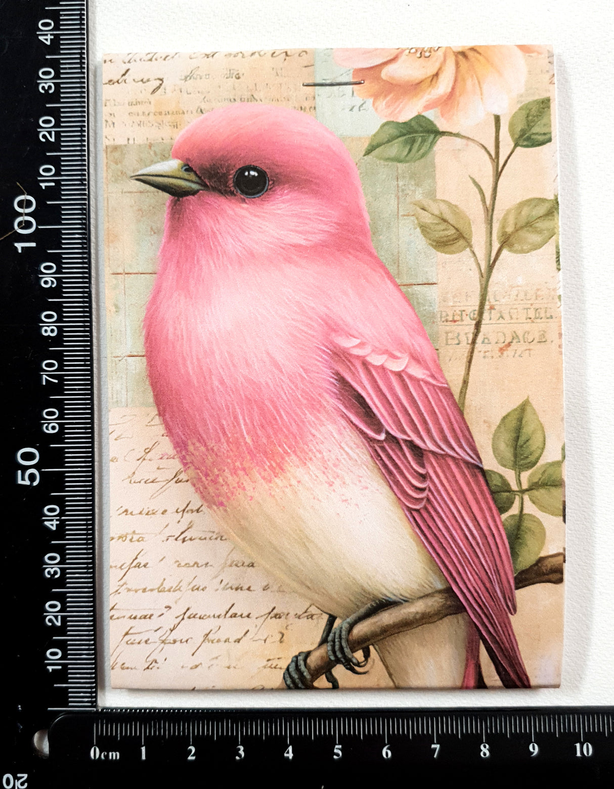 Motherloads Mini Assorted Ephemera Pack - UU - Selected at Random