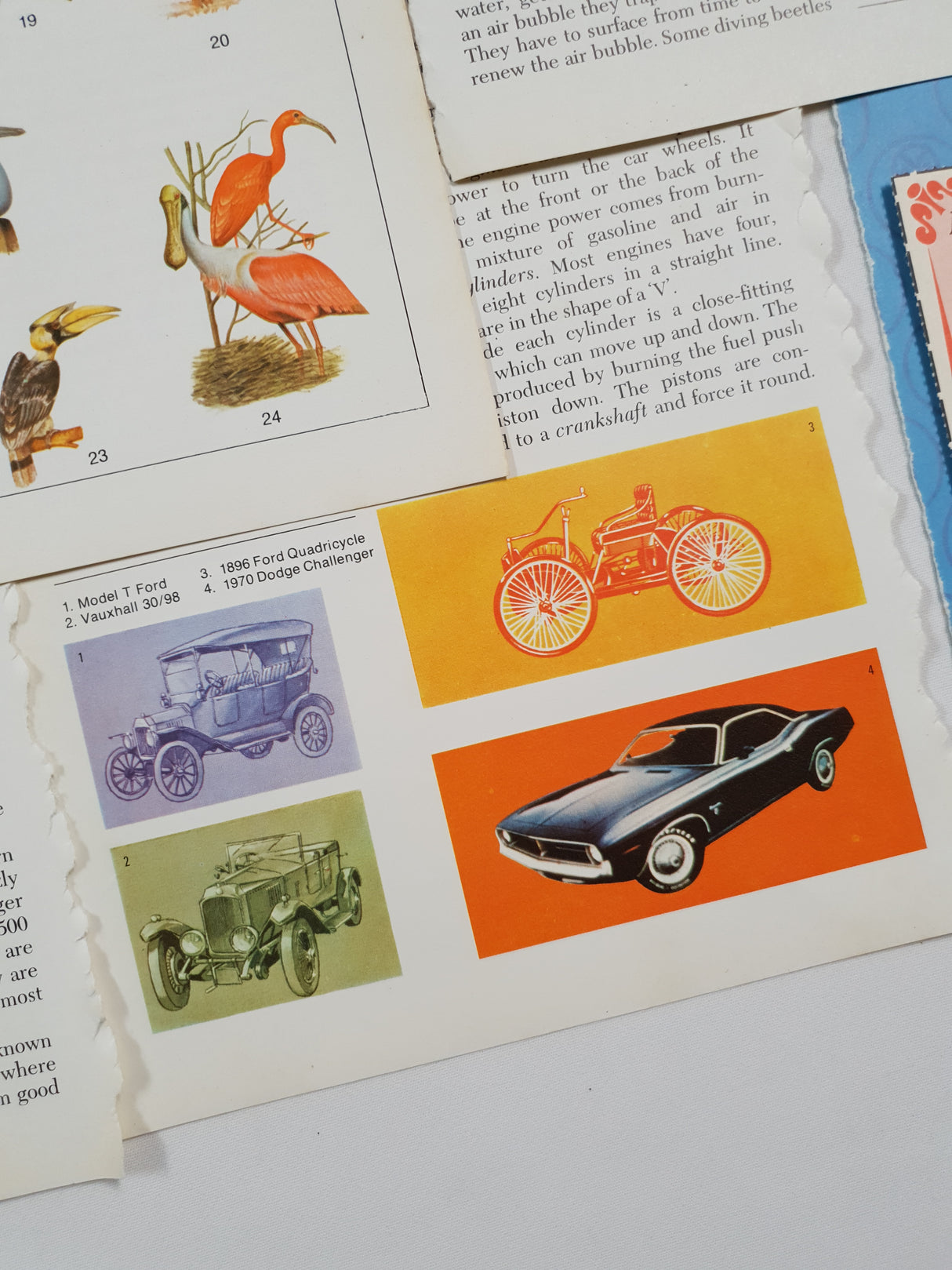 Authentic Vintage Encyclopedia Pages Pack - DD