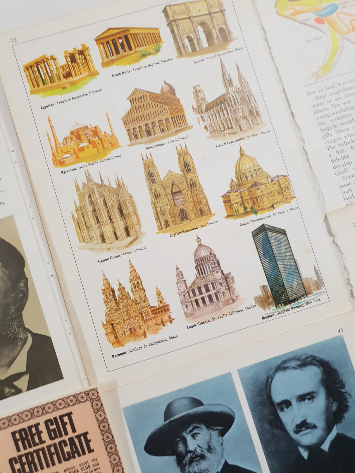 Authentic Vintage Encyclopedia Pages Pack - DE