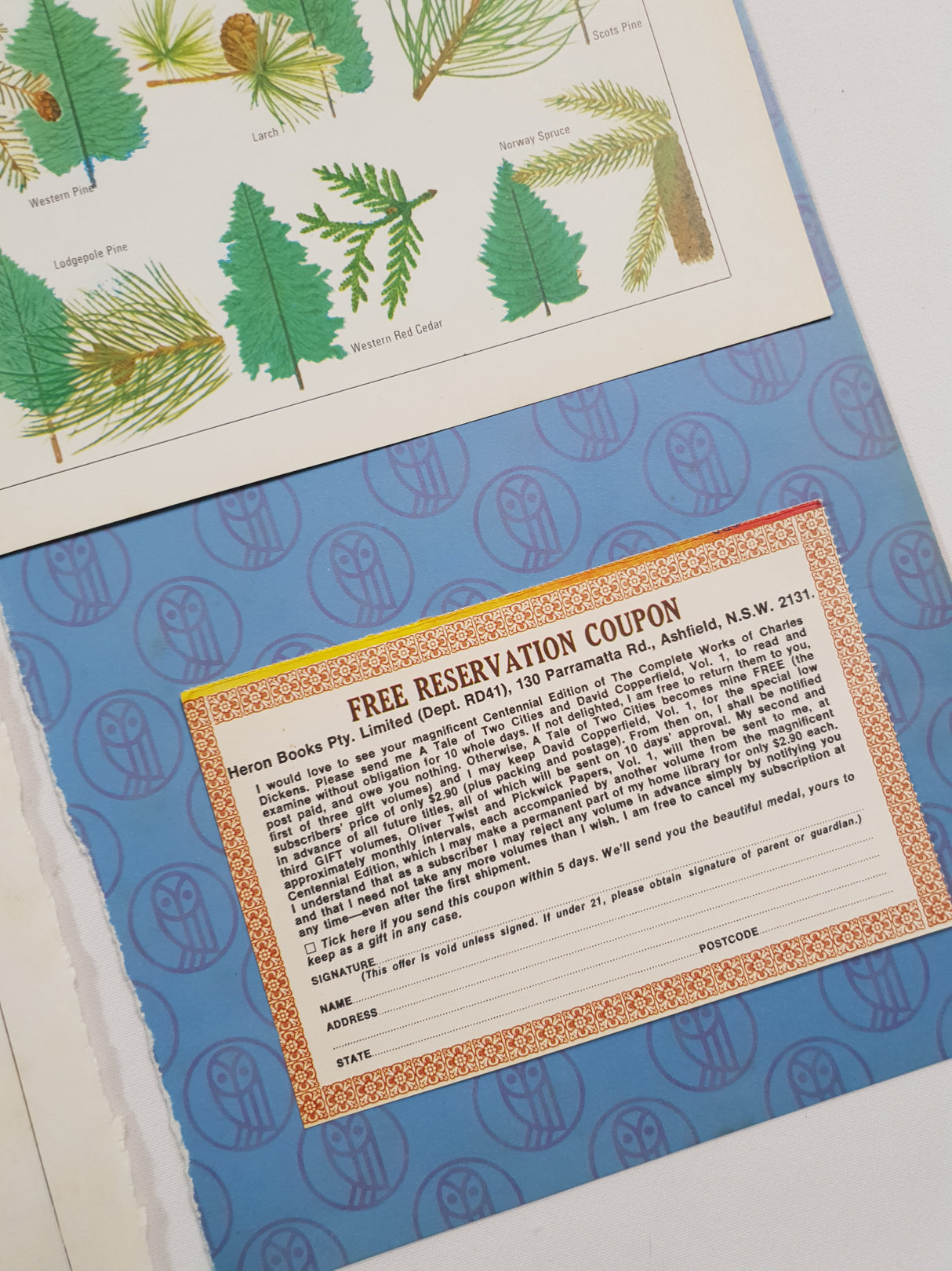 Authentic Vintage Encyclopedia Pages Pack - DF