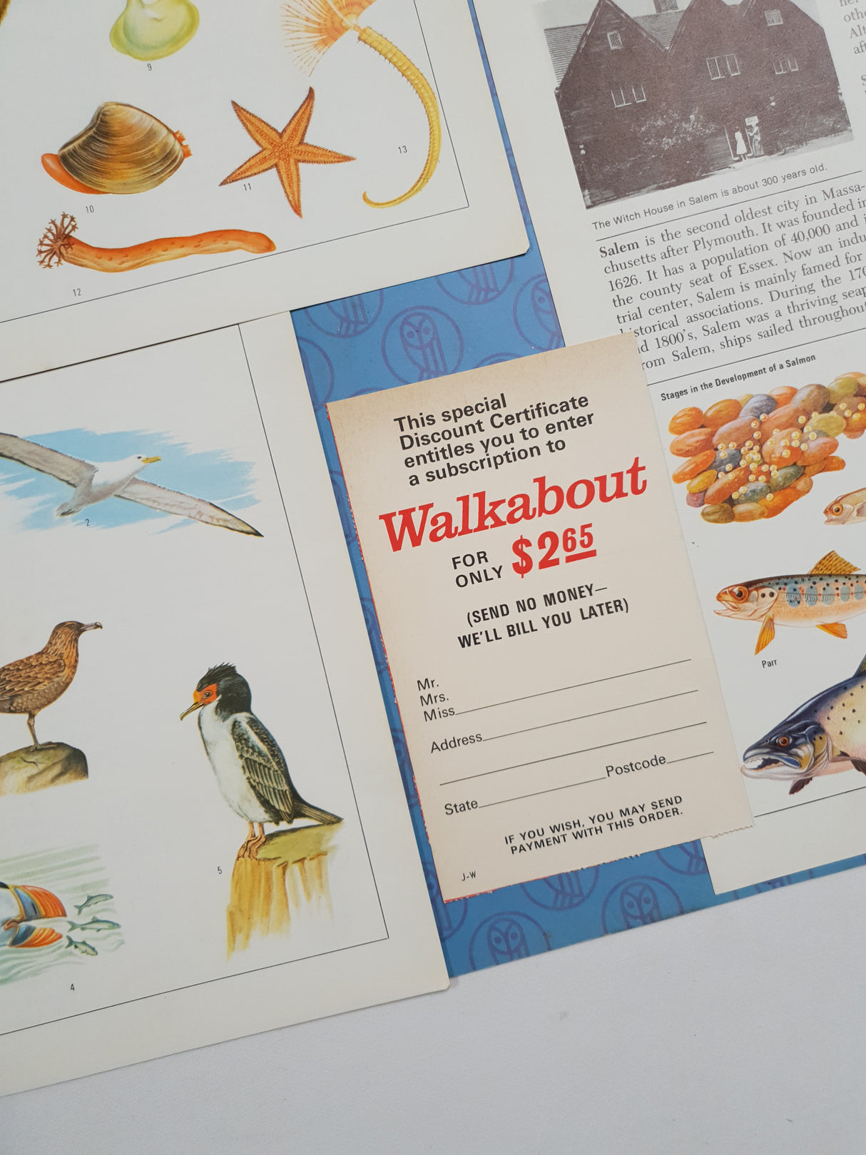 Authentic Vintage Encyclopedia Pages Pack - DG